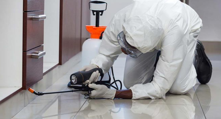 Pest Control Service Provider in Ulhasnagar