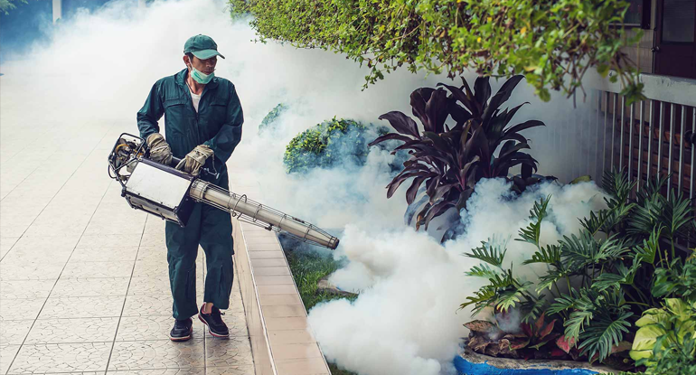 Mosquito Control Services