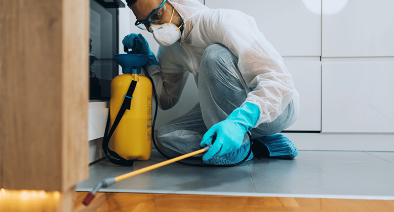 General Pest Control Services